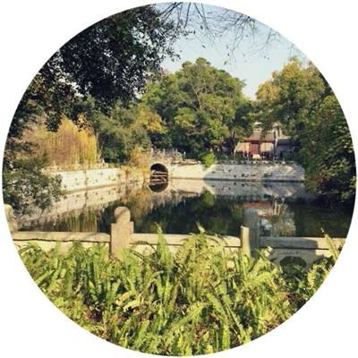 镇灵街官方版下载